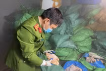 Lực lượng chức năng kiểm tra kho hàng.