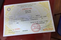 Dừng cấp chứng chỉ ngoại ngữ trình độ A, B, C 