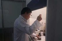 Tối ưu hóa trong pin nhiên liệu