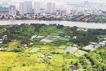 TPHCM thu hồi các dự án chậm triển khai