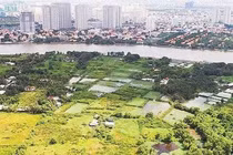 TPHCM thu hồi các dự án chậm triển khai