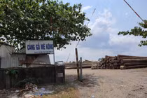 Thanh tra TPHCM kiến nghị xử lý tình trạng 'xẻ thịt' đất công viên