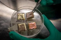 Mái phủ thông minh làm mát mùa hè và giữ ấm mùa đông