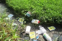 Hệ lụy của lạm dụng thuốc bảo vệ thực vật