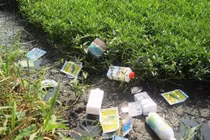 Hệ lụy của lạm dụng thuốc bảo vệ thực vật