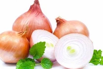Hành tây - vị thuốc quý