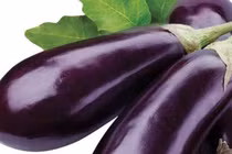 Cà tím chống lão suy, trị bệnh gan mật