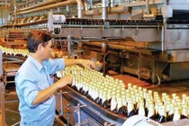 Habeco Hải Phòng thua lỗ 4 tỷ đồng do Nghị định 100