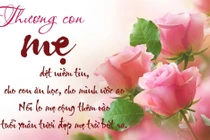 Lời chúc 8/3 dành cho mẹ chồng, mẹ vợ chân thành, xúc động nhất