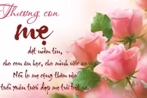 Lời chúc 8/3 dành cho mẹ chồng, mẹ vợ chân thành, xúc động nhất