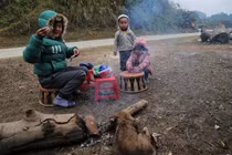 Khi nhiệt độ tăng, học sinh mới đi học trở lại