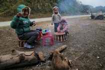 Khi nhiệt độ tăng, học sinh mới đi học trở lại