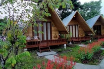 Đầu tư farmstay: Cẩn trọng rủi ro vì khoảng trống pháp lý