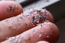 Phát hiện hạt vi nhựa trong máu người