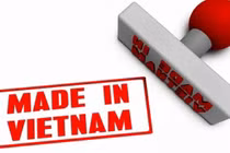 Made in Việt Nam