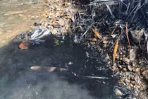 Hà Nội nóng cuộc chiến nước mặt - nước ngầm