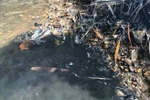 Hà Nội nóng cuộc chiến nước mặt - nước ngầm