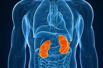 7 bộ phận cơ thể nếu thiếu con người vẫn sống