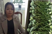 Hàng điện máy ồ ạt khuyến mãi dịp Noel, Tết Dương lịch