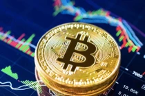Tăng giảm liên tục, chơi bitcoin giờ như... đánh bạc