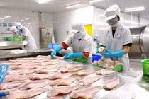 396 cơ sở vi phạm về an toàn thực phẩm trong 9 tháng đầu năm 2021