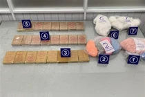 Số lượng ma túy mà Hải quan TP.HCM thu giữ được trong các kiện hàng.