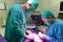 Trẻ sưng hàm cẩn thận ổ áp xe hoại tử