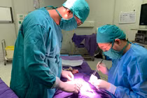 Trẻ sưng hàm cẩn thận ổ áp xe hoại tử