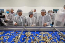 “Tiếp sức” Tây Bắc bằng chuỗi dự án xanh của TH