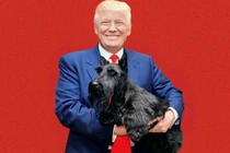 Tổng thống đầu tiên không nuôi chó tại Nhà Trắng sau 120 năm