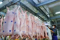 Đưa thịt lợn vào chương trình bình ổn giá cuối năm