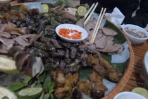 Thịt chó, chim sẻ tốt cho nam giới