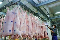Đưa thịt lợn vào chương trình bình ổn giá cuối năm