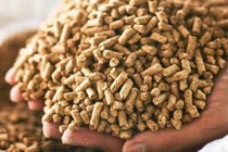 Giá thức ăn chăn nuôi tăng chóng mặt