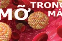 Điều trị rối loạn mỡ máu không dùng thuốc