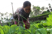 Dạy 37 năm, sống làm sao với lương hưu 1,3 triệu?