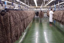 Ảnh độc bên trong nhà máy sản xuất lớn nhất của Zara