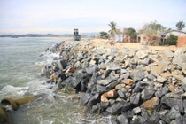 Quảng Ngãi: Xử lý dứt điểm hành vi lấn chiếm hành lang bảo vệ đê