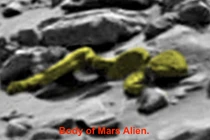 Tìm thấy xương người ngoài hành tinh trên sao Hỏa?
