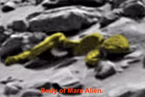 Tìm thấy xương người ngoài hành tinh trên sao Hỏa?