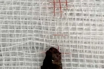 Dị vật văng vào tim