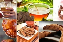 Uống linh chi, tam thất giúp hạ mỡ máu