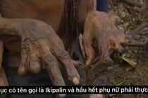 Hủ tục hoang dã nhất hành tinh