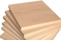 Cảnh báo gỗ bất hợp pháp tuồn vào Việt Nam