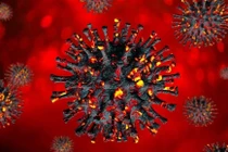 WHO: Năm 2022 thế giới có thể chấm dứt giai đoạn cấp tính của đại dịch COVID-19