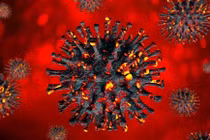 WHO: Năm 2022 thế giới có thể chấm dứt giai đoạn cấp tính của đại dịch COVID-19