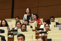 Đại biểu Quốc hội tranh luận nảy lửa việc 'điều tra sai sót của SGK'