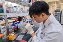 Nam sinh Hà Nội lọt tốp 50 sinh viên xuất sắc toàn cầu