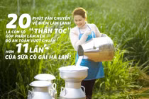 Các mẹ chú ý sức khỏe dinh dưỡng, cùng tìm hiểu quy trình sản xuất của loại sữa tươi an toàn hơn chuẩn 11 lần!