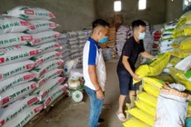 Phân bón tăng do đâu?